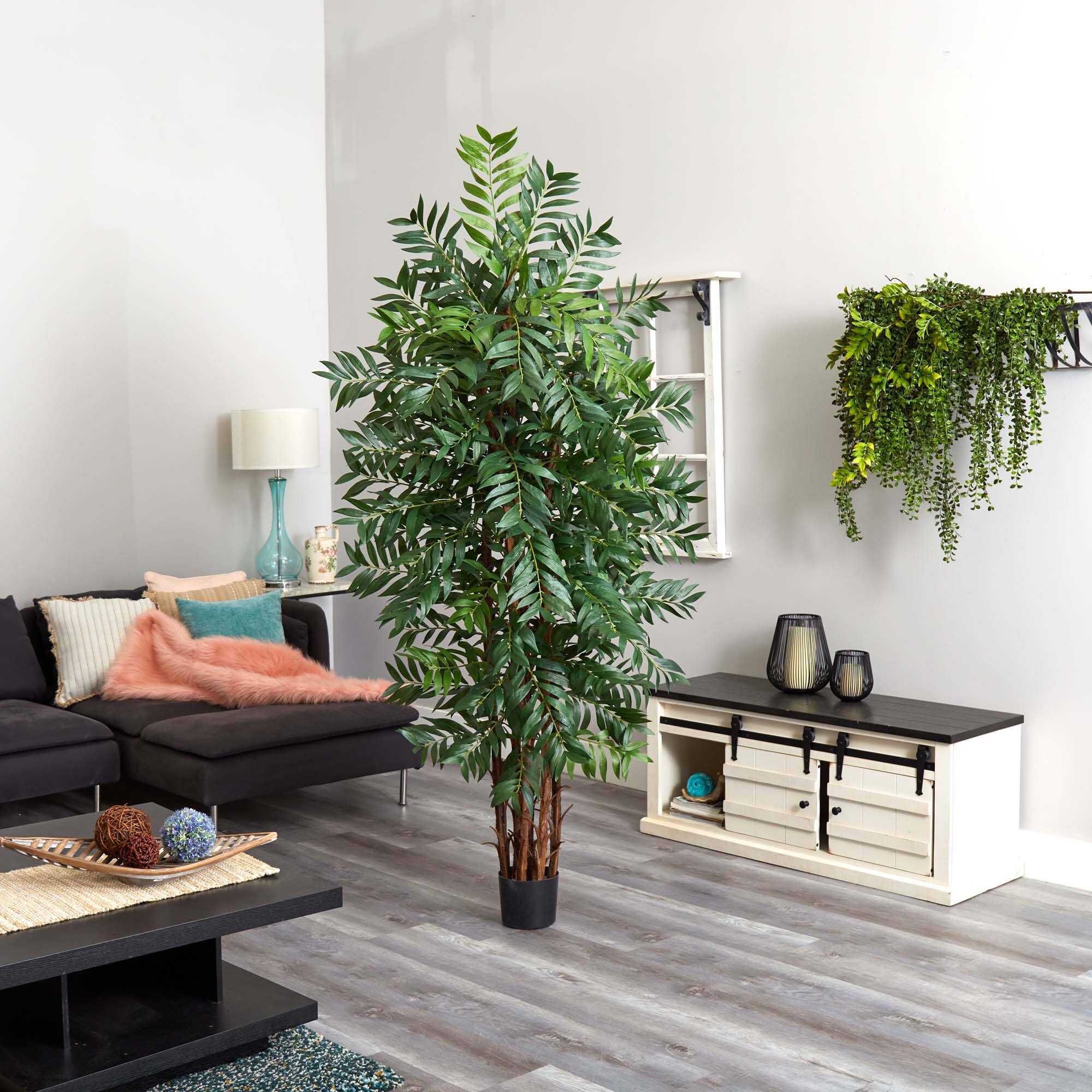 7ft. Potted Bamboo Palm Tree